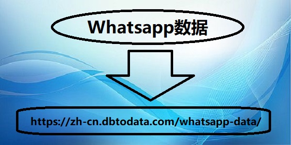 Whatsapp数据