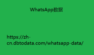 WhatsApp数据